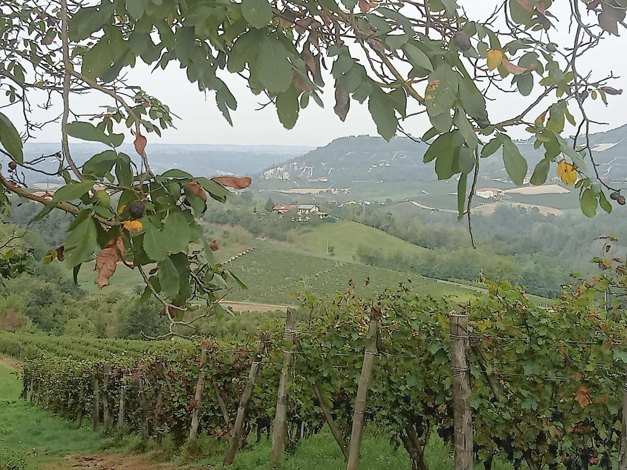 Agriturismo Bric Di Gai Monforte D'Alba Ngoại thất bức ảnh