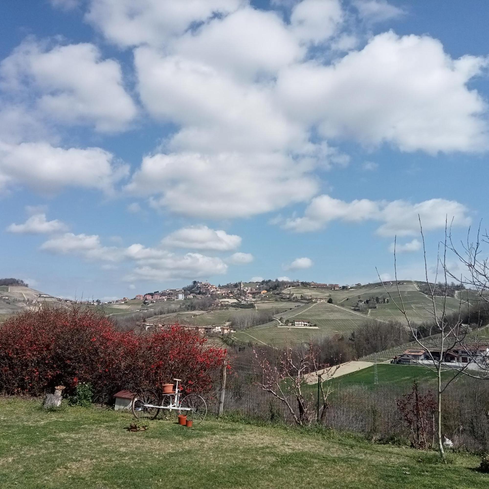 Agriturismo Bric Di Gai Monforte D'Alba Phòng bức ảnh